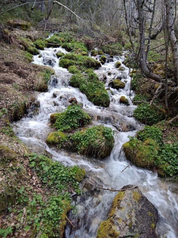 Penzion Casa Nando Esterri d'Àneu Exteriér fotografie